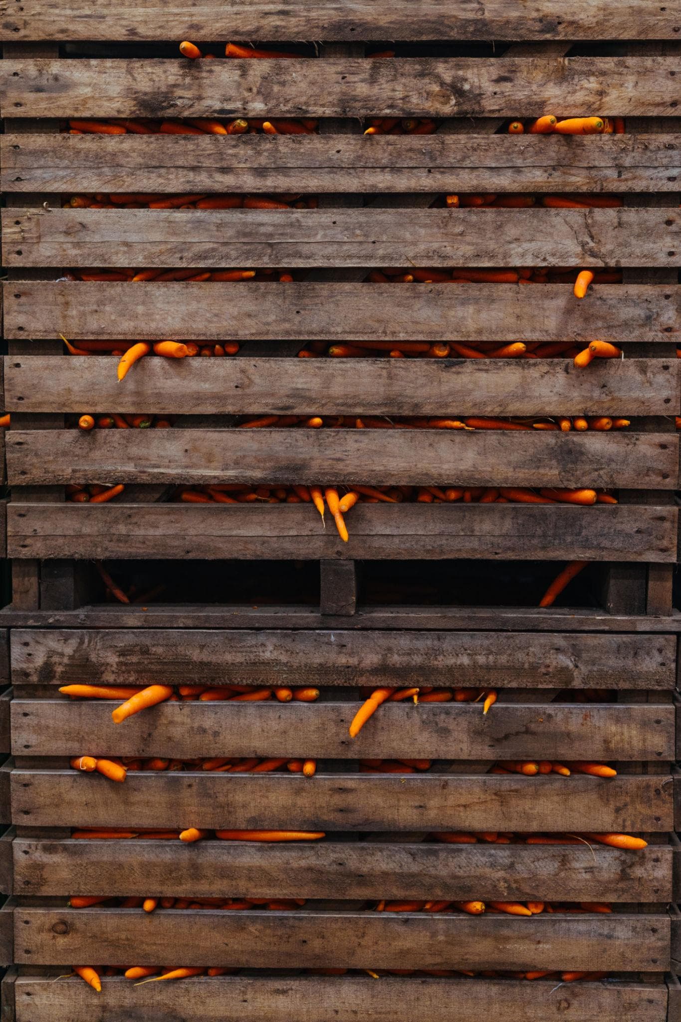 Kassar fyrir annað rótargrænmeti