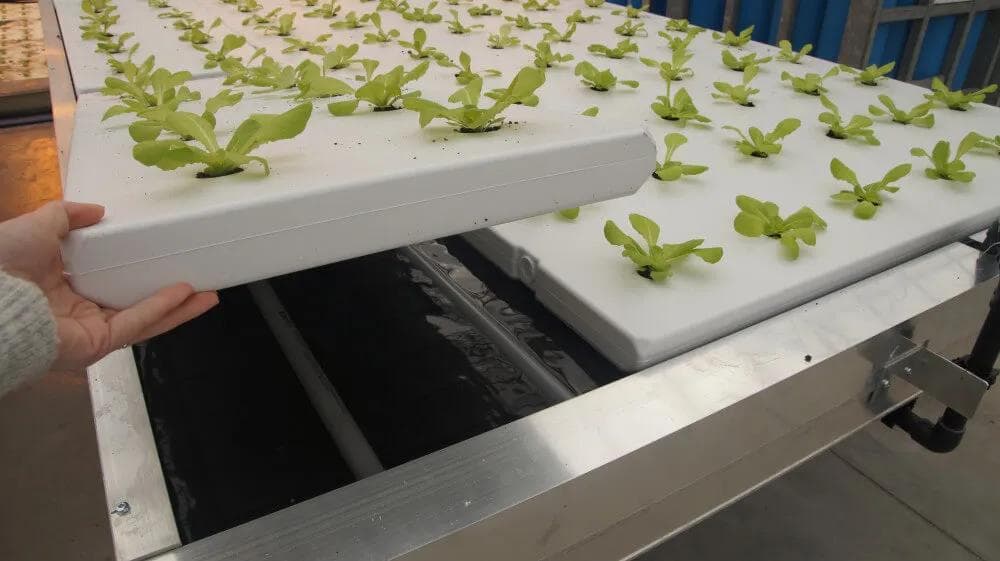 Meteor Systems fljótandi ræktunarkerfi