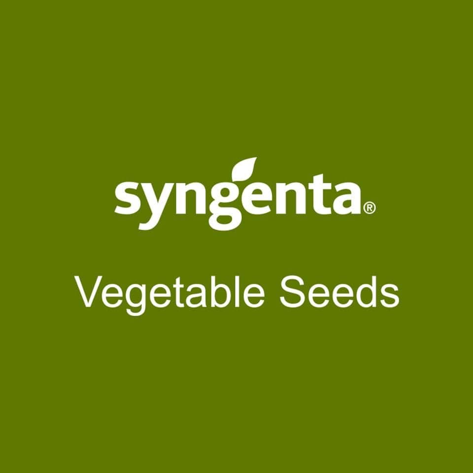 Syngenta Fræ