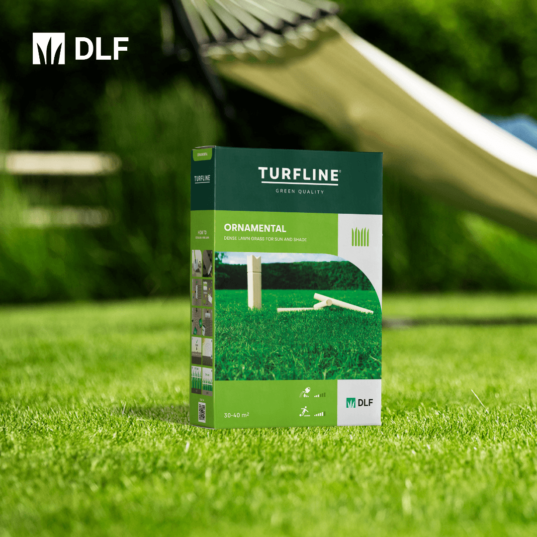 DLF Ornamental