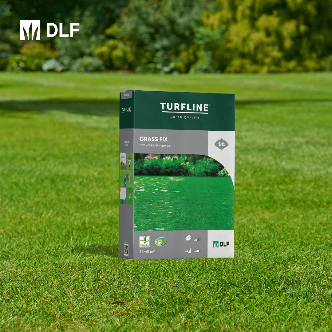 DLF Grass Fix