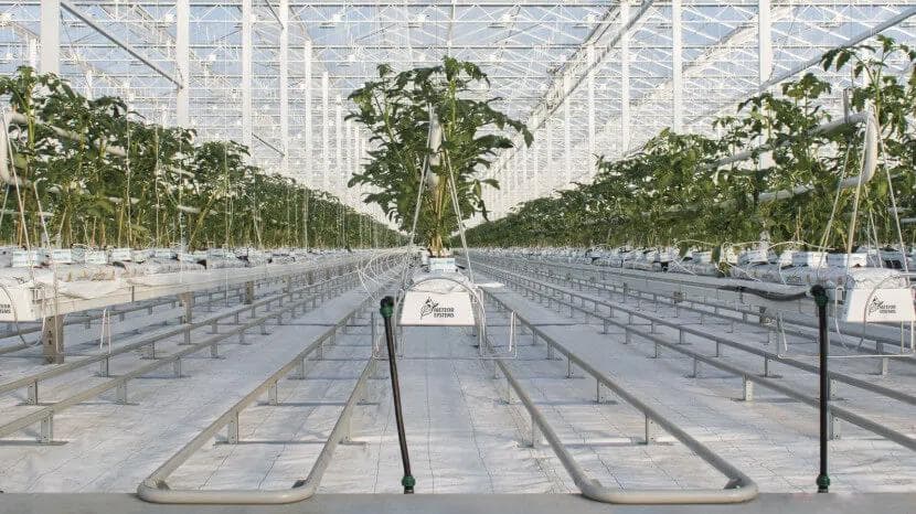 Meteor Systems Hengi og Burðarkerfi