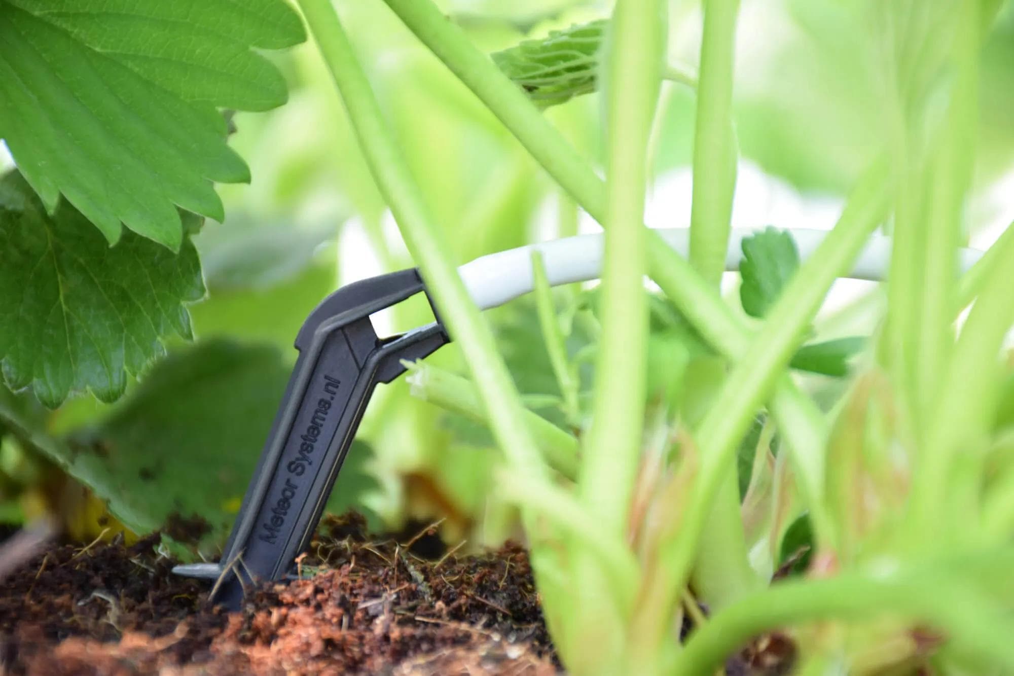 Meteor Systems Vökvunarkerfi