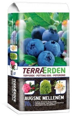 Terraerden Bláberjamold